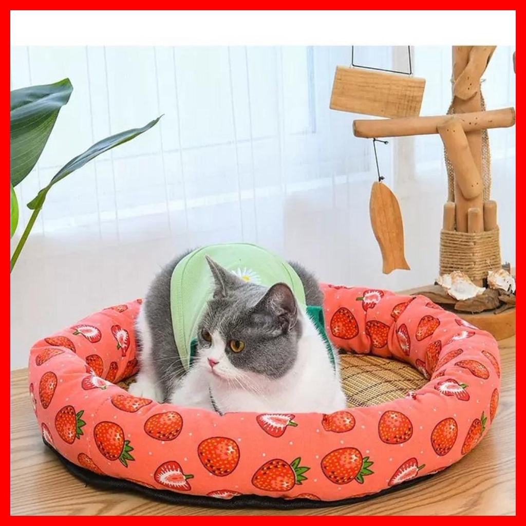 Thảm Mát Chiếu Điều Hòa cho chó mèo nhiều màu sắc hình dáng