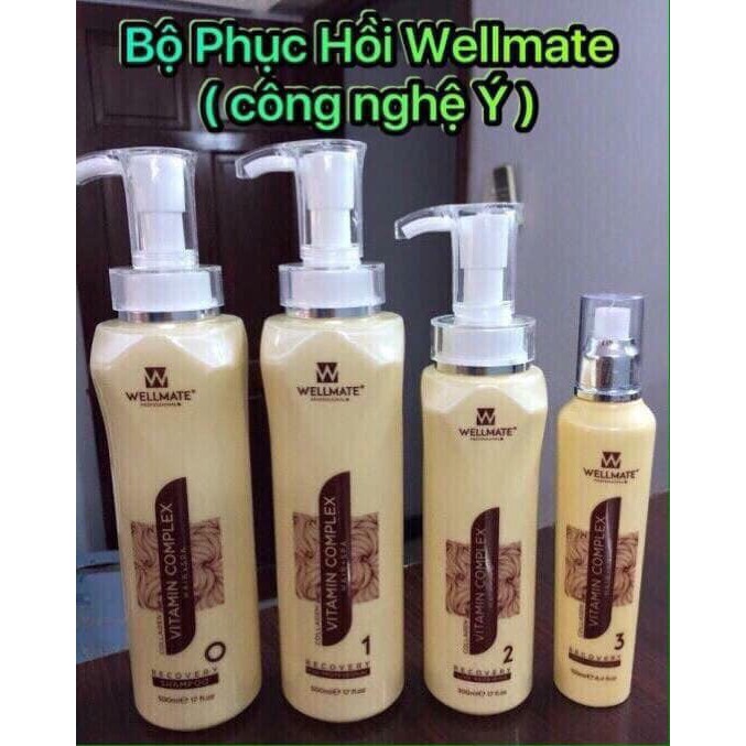 [Wellmate-chính hãng] Phục hồi vitamin Wellmate Chai số 1 | BigBuy360 - bigbuy360.vn