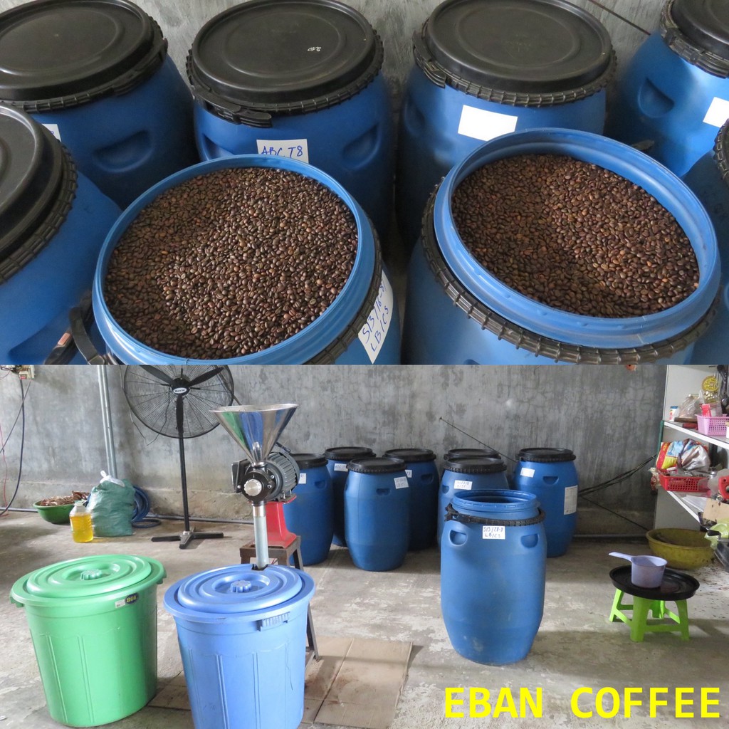 Miễn phí cước 5kg Cà phê nguyên chất hữu cơ Eban.Rang mộc. Bột hoặc Hạt pha máy