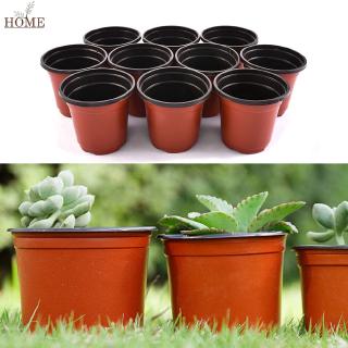 10 Chậu Nhựa Hỗ Trợ Ươm Trồng Cây