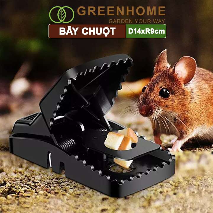 Bẫy chuột thông minh, D14xR9cm, lò xo độ nhạy cao, dễ sử dụng, hiệu quả cao |Greenhome