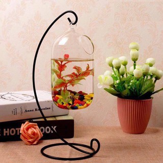Bể cá cảnh Mini để bàn