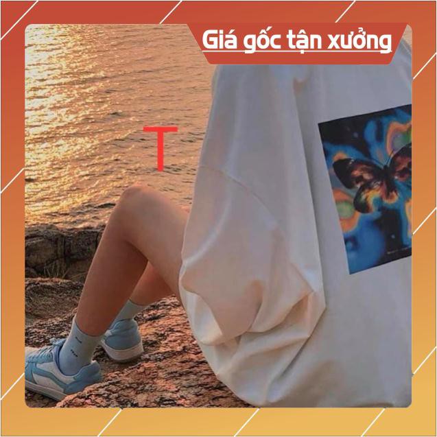 Áo thun nam nữ SWEET Áo bướm BoX tay dài TT12