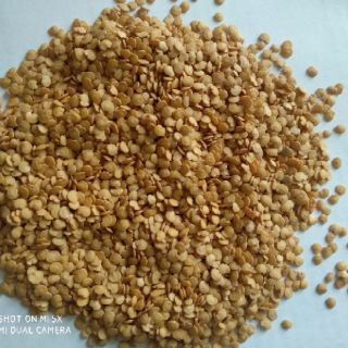 50 Hạt giống cà tím dài