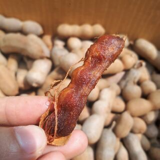 Me lào tươi