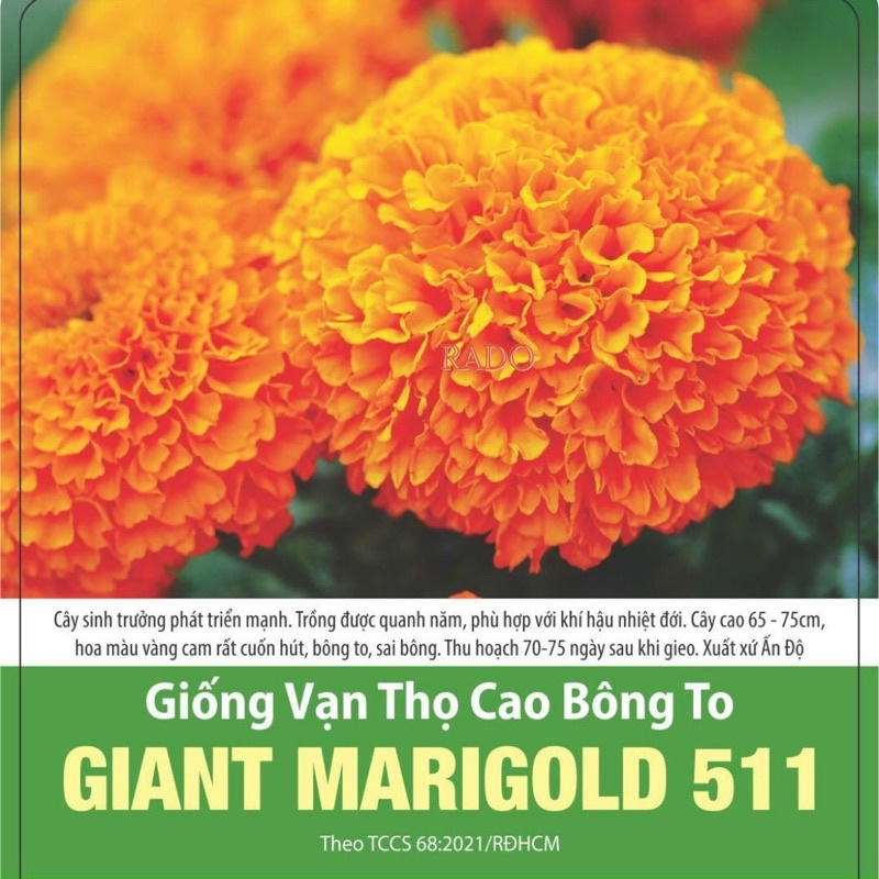 Hạt Giống Vạn Thọ Cao Bông To 511