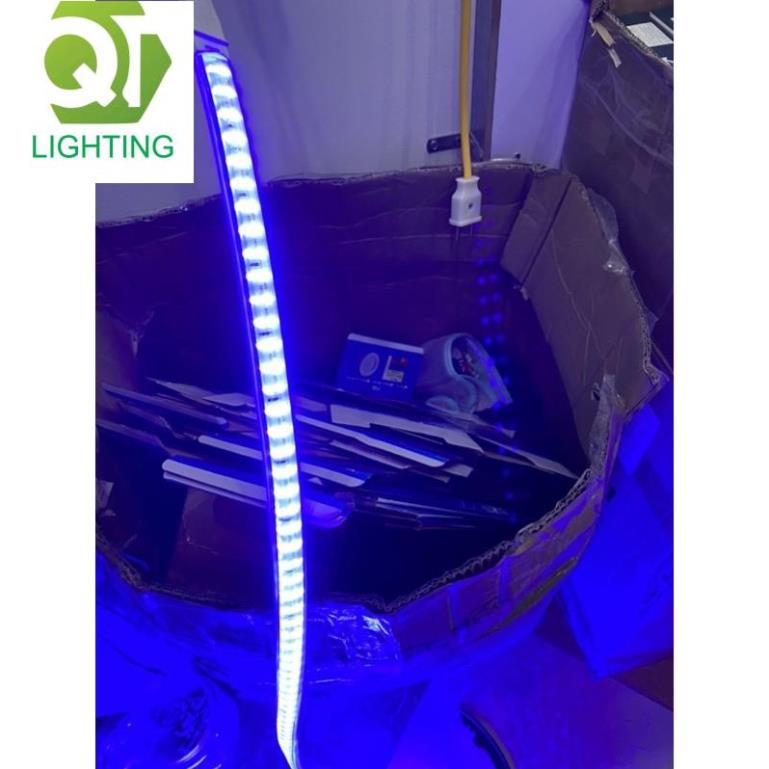 Đèn Led dây đôi 2835 ánh sáng màu xanh dương, ống nhựa 220V(bán theo m) QTLighting