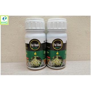 COMBO 2 CHAI FULL ROOT NAMKING 250ML - BẬT RỄ CỰC MẠNH - RA RỄ BẤT KỂ MÙA HÈ, MÙA ĐÔNG!