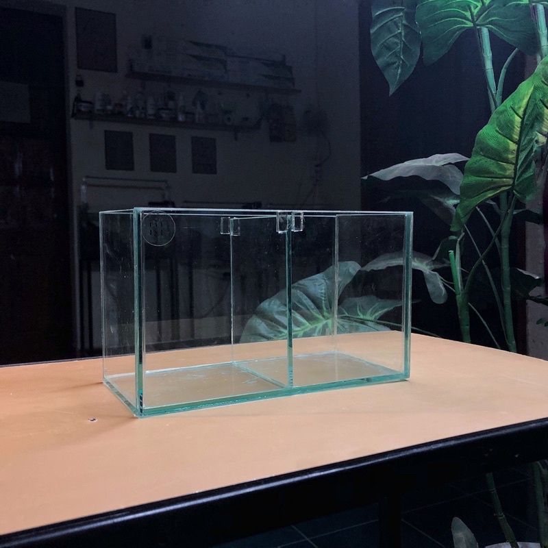 Keo betta 2 ngăn D20xR10xC12cm tấm ngăn có thể tháo rời