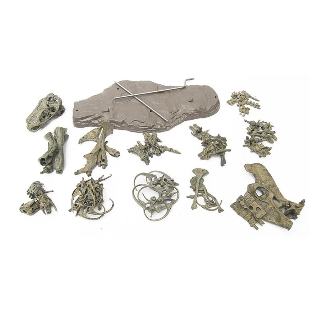 Đồ Chơi Mô Hình Xương Khủng Long 4D Cỡ Lớn 70cm Cho Bé