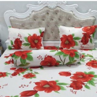 3 áo gối thun hàn quốc 2 áo 40x60 và 1 áo 35x100