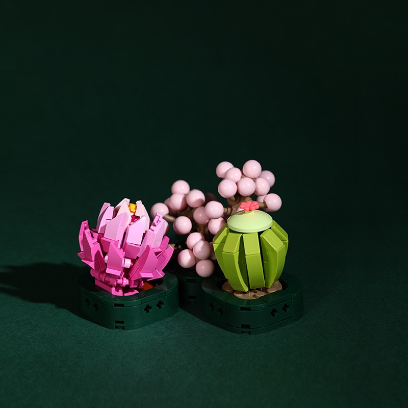 Đồ Chơi Lắp Ráp Cây Mọng Nước Sáng Tạo JK2725-27