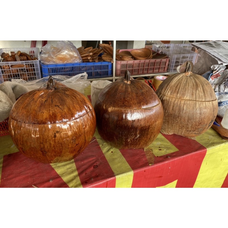 Vỏ ủ giữ ấm bình trà trái dừa + ấm tích (nhiều Size) Mỹ nghệ dừa Bến Tre