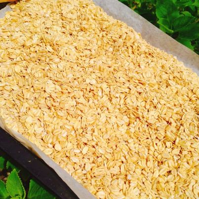 yến mạch sấy mật ong - ngon mê ly 100g / 250g / 500g | BigBuy360 - bigbuy360.vn