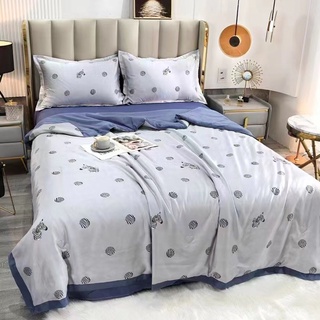 Bộ Chăn Ga Gối Lụa Thái 4 Món Cao Cấp, bo chun miễn phí