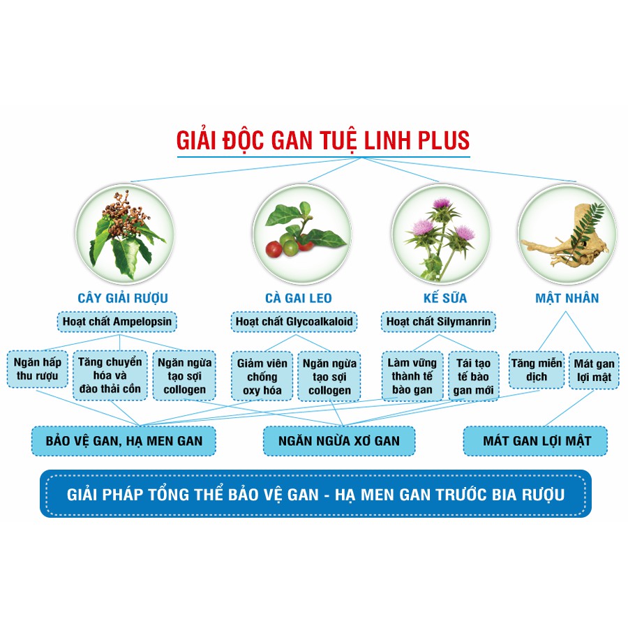 Giải Độc Gan Tuệ Linh Plus - Giải độc bia rượu chỉ sau 1 giờ