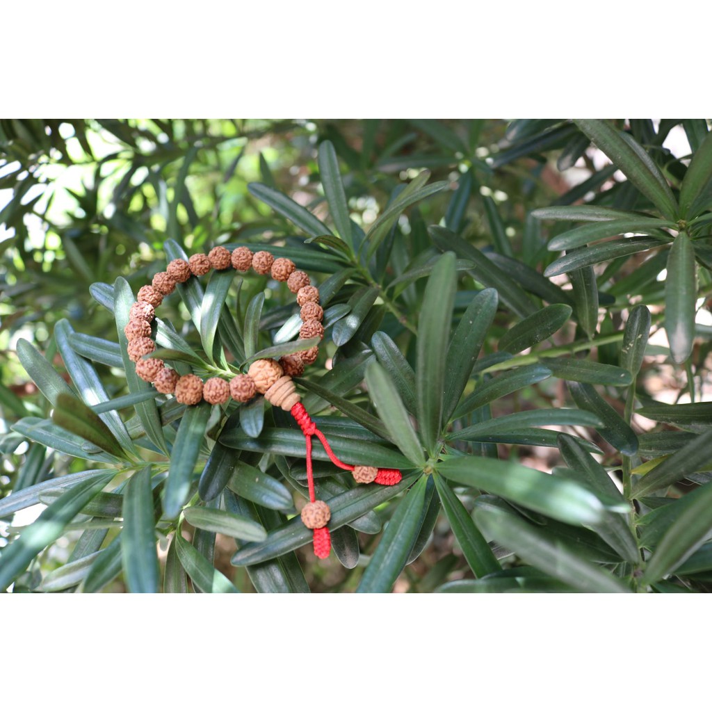 Vòng tay bồ đề Kim Cang Nepal 8mm nâu tự nhiên/ Nepali Handmade Natural Rudraksha Bead 8mm Bracelet with 5 designs