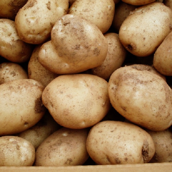 Khoai tây Đà Lạt 1kg - Hàng mới mỗi ngày