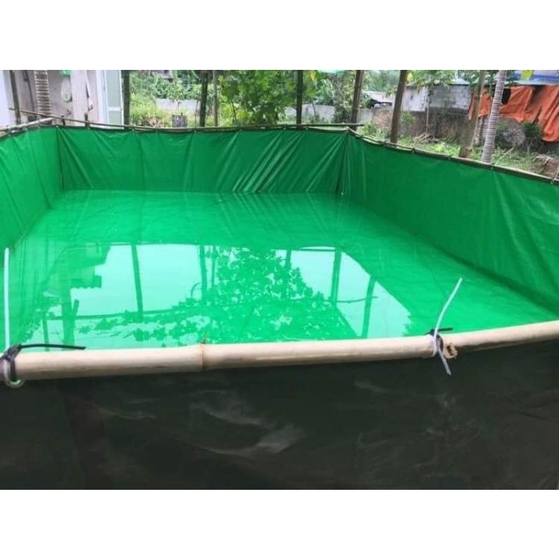 Bể bạt nuôi ốc ếch cá lươn chạch 4x3x1 - xanh bộ hà quốc