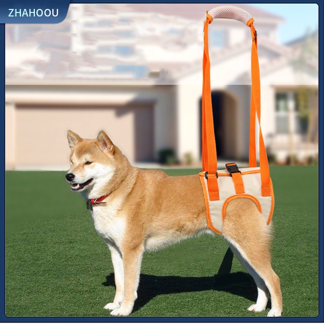 ☃Nhà☃ Đai Lưới Đeo Chân Giữ Thăng Bằng Hỗ Trợ Huấn Luyện Thú Cưng