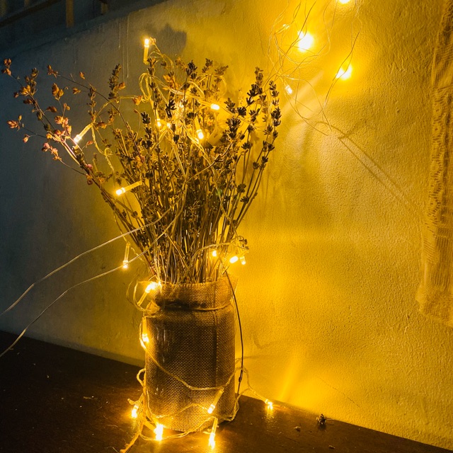 BỘ 2 DÂY ĐÈN LED 8M 50 BÓNG ĐOM ĐÓM VÀNG NẮNG KHÔNG CHỚP XÀI ĐIỆN | BigBuy360 - bigbuy360.vn