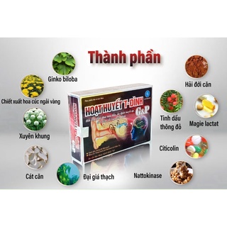 Hoạt huyết t-đình gp - dứt điểm rối loạn tiền đình