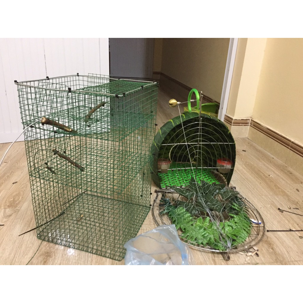 lồng bẫy chim tự động 1