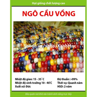 Hạt giống Ngô cầu vồng