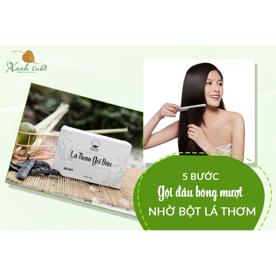 [Ogatic] Lá thơm gội đầu- Kích thích mọc tóc- Trị Gàu- Phục hồi tóc hư tổn