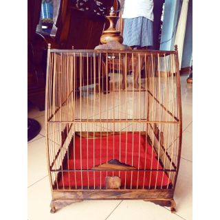 Lồng chim lá đề