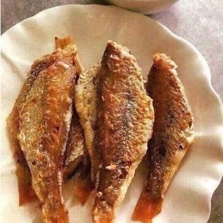 (CỰC RẺ) cá hồng phèn khay 500gr to ngon