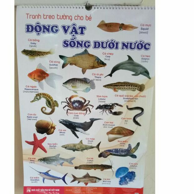 Bộ tranh treo tường 12 chủ đề song ngữ anh - việt dochoigo.vn