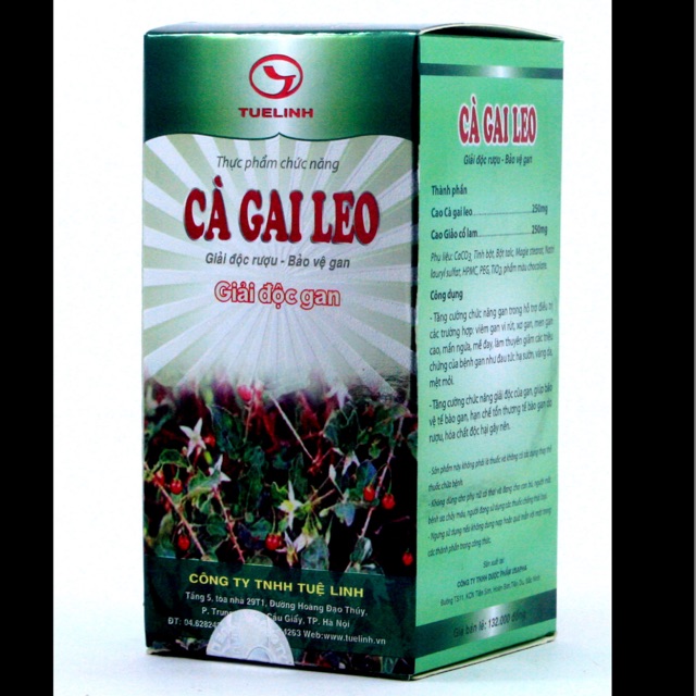 Cà gai leo tuệ linh