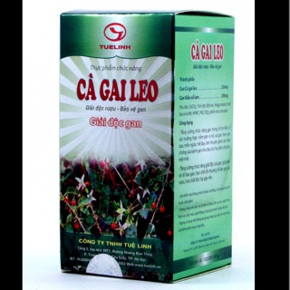Cà gai leo tuệ linh