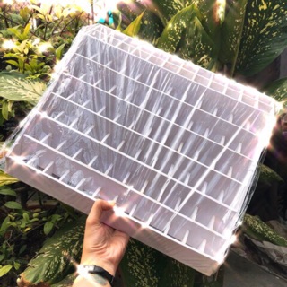 Khay đựng son khổng lồ tha hồ đựng son thoải mái cho chị em cất giữ gọn gàng