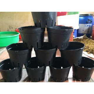 CHẬU NHỰA TRỒNG LAN PHI 23 - SET 10 CHẬU