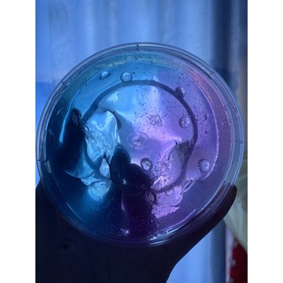 Slime đại dương huyền bí 🌊