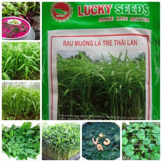 COMBO 5 loại rau thanh nhiệt - HGM