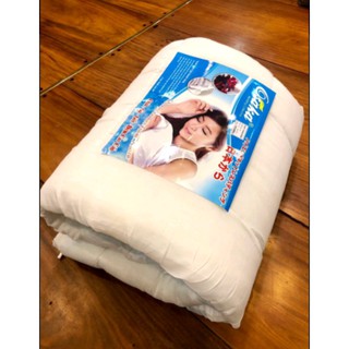 Ruột chăn bông Osaka 2mx2m2 hàng đông dày