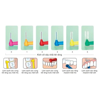 Bàn chải kẽ răng gập góc TEPE [dvcareshop]