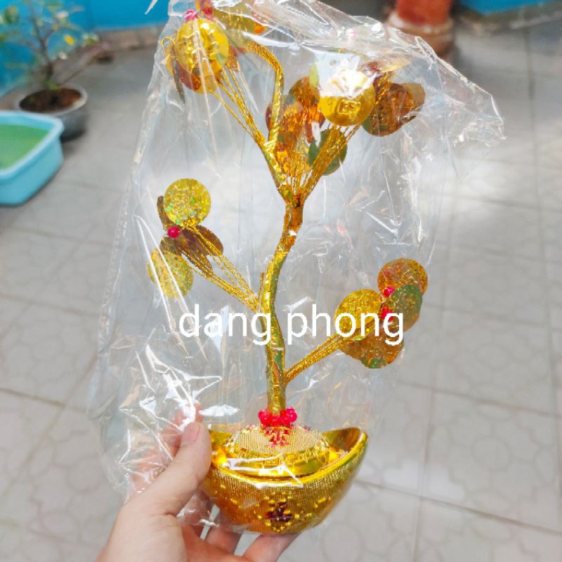 Cây cành vàng lá ngọc,kim tiền tài lộc 25cm