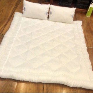 Ruột Chăn Bông OSAKA Hàng Hè Phân Phối K&K Bedding