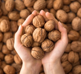 Nhân hạt óc chó sấy (500gr)