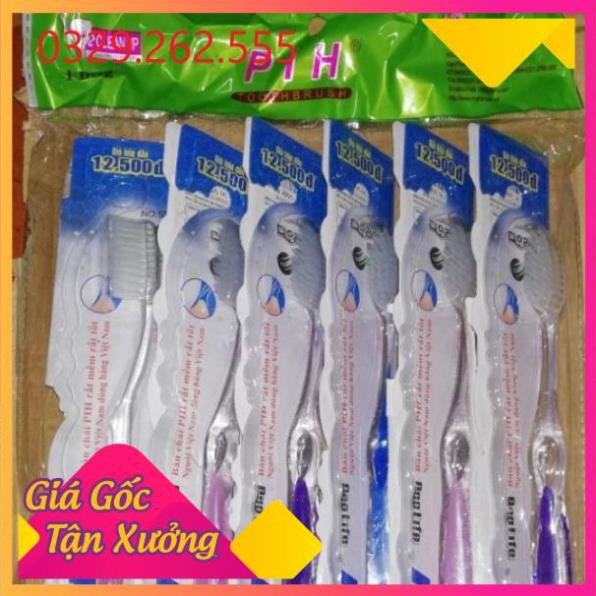 (Sale Khủng)  Sỉ 12 bàn chải đánh răng PH công nghệ Hàn Quốc