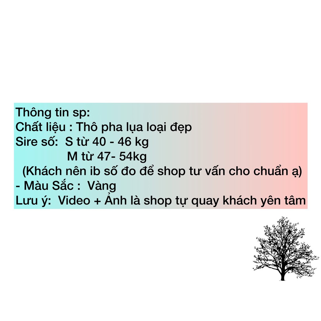 Free - Ship 50K ] Áo Sơ Mi Nữ Kẻ Bbr Cộc Tay Chất Đẹp [ Kèm Ảnh + Video Tự  Quay ] Giá Cạnh Tranh