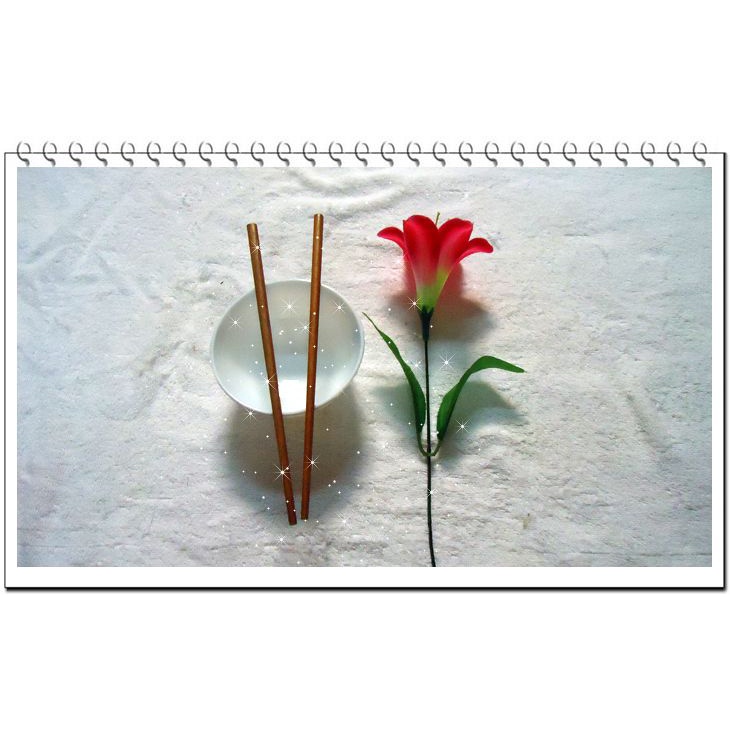 Bộ 10 đôi Đũa Sao hiệu Thành Nhân chất liệu gỗ Sao Đá - Chống Trơn- Chống Trượt- Chống Mốc - hàng VNchất lượng cao