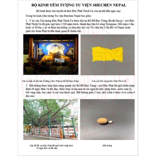 Pháp Bảo An Vị Tượng- Bộ yểm kinh tượng Tu viện Shechen Nepal [PBMC]