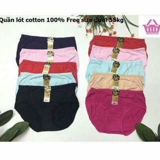 Chuyên sỉ 10 quần lót cotton từ 50-65kg