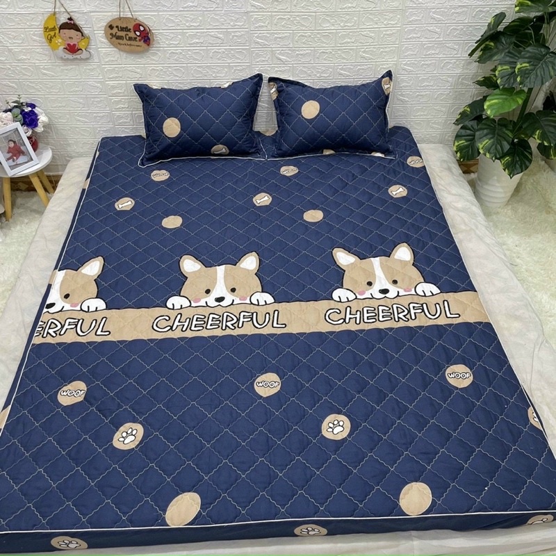 Set Ga chun Trần bông kèm 2 vỏ gối nằm cotton poly