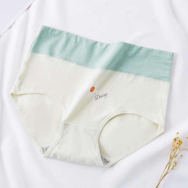 Quần Lót Nữ SAM SAM Chất Cotton Lưng Cao Size Đại 50-70kg Đáy Lót Kháng Khuẩn SAM SAM